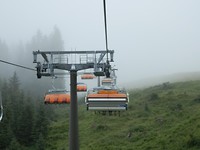 P7296474