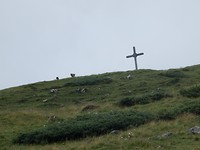 P7306849
