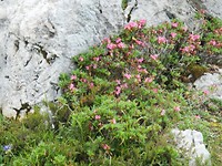P7306923