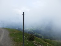 P7317083