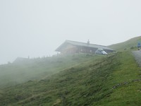 P7317085