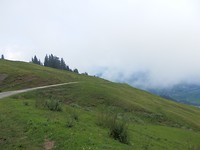 P7317087