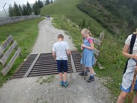 P7317096