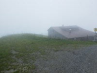 P7317104