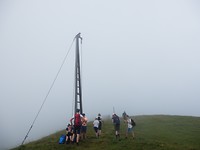P7317131