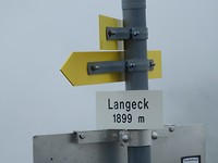 P7317142