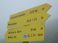 P7317173