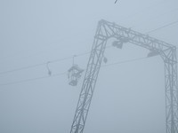P7317216