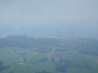 P7317236