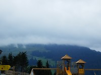 P7317245