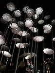 IMG_20230826_222742