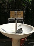 IMG_20230827_120226