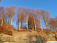 IMG_20231117_151941