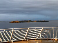 IMG_20231117_090817
