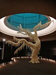 IMG_20231118_141225