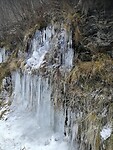 IMG_20231119_143052