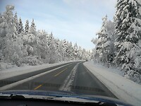 IMG_20231124_114502