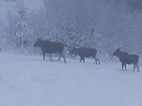 IMG_20231126_132019