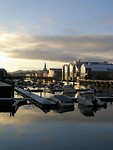 IMG_20231125_124901