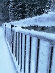 IMG_20231127_131052