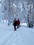 IMG_20231127_125119