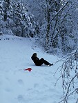 IMG_20231127_132200