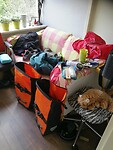 IMG_20240426_141728