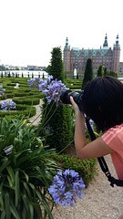 Bloementuin bij kasteel Hillerod