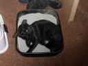Tom
