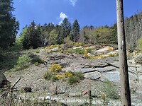 IMG_20220504_142731