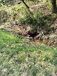 IMG_20220504_122000
