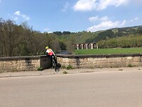 IMG_1206