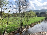 IMG_1205