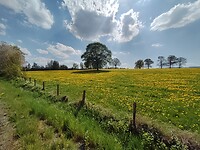 IMG_20220504_160918