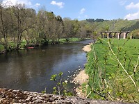 IMG_1203