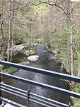 IMG_1225