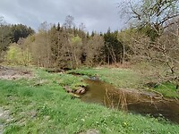 IMG_20220505_112853