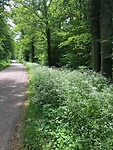 IMG_1289