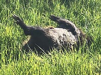 IMG_1274