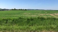 IMG_1306