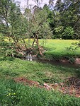 IMG_1320