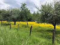 IMG_1326