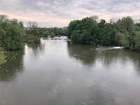 IMG_1330