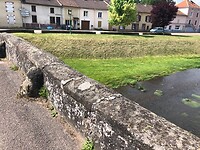 IMG_1318