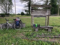 IMG_1341