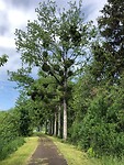 IMG_1340