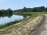 IMG_1339
