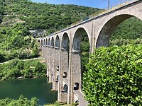 IMG_1445