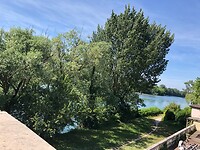 IMG_1456