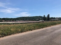 IMG_1457